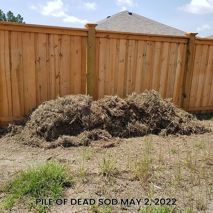 Local yard maintenance in Wilmington, NC by Turf Masters Sod Farms