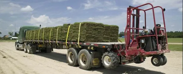 Turf Masters Sod Farms Logo