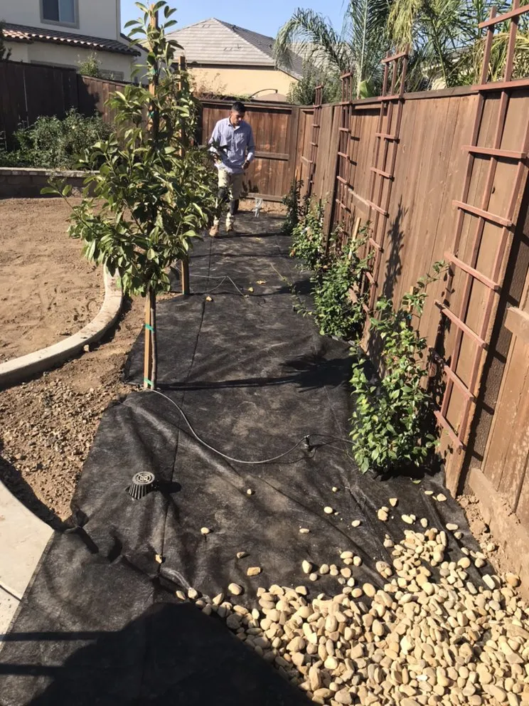 Reliable residential landscaping for year-round maintenance in Modesto, CA by Turf Masters Solutions