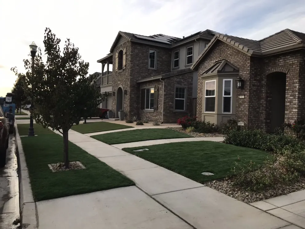 Professional yard maintenance in Modesto, CA - Turf Masters Solutions