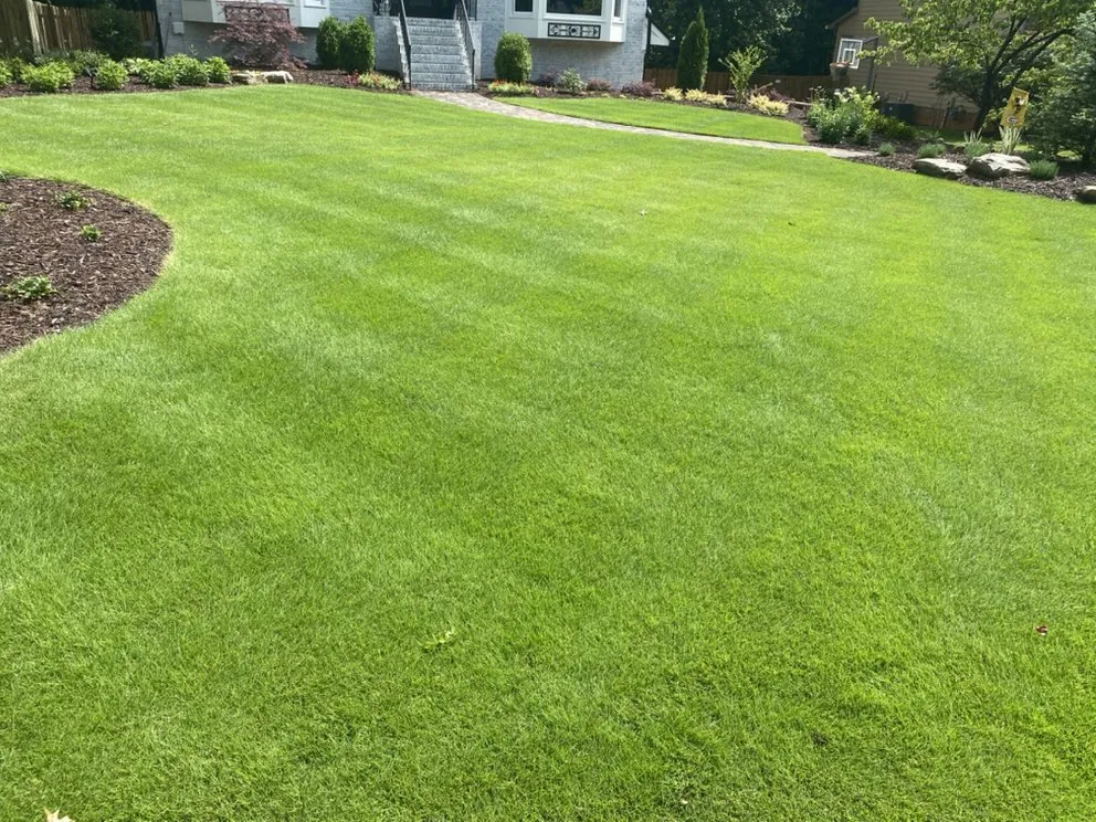 Custom yard cleanup service in Buford, GA by Turf Maxx Lawn Care