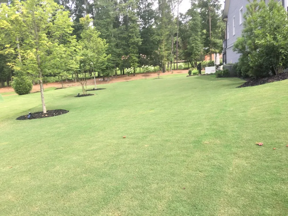 Professional yard cleanup service experts serving Buford, GA - Turf Maxx Lawn Care