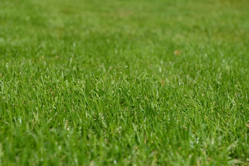 Local lawn mowing service experts serving Oxford, CT - Turf MD