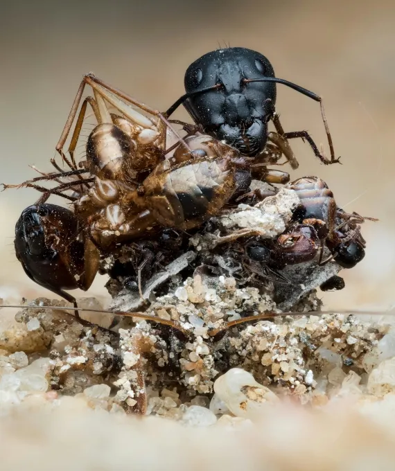 Professional yard cleanup service for year-round maintenance across Oxford, CT - Turf MD