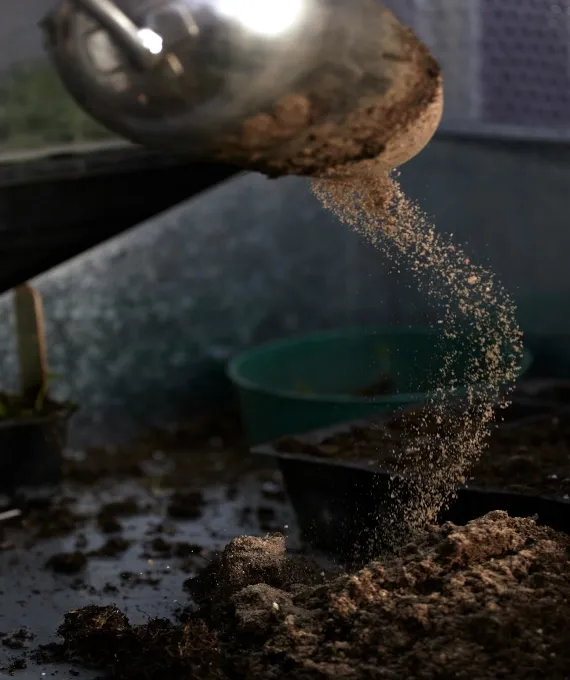 Affordable lawn care service in Oxford, CT - Turf MD