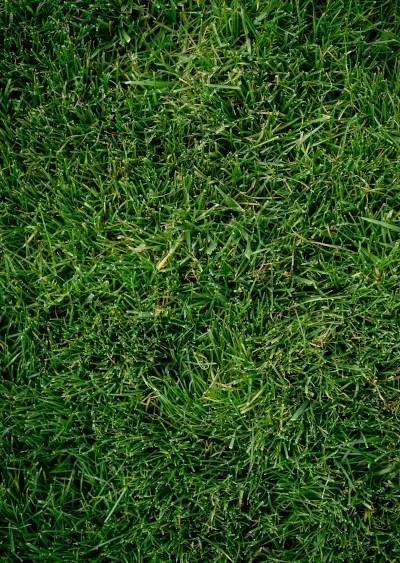 Reliable residential landscaping in Oxford, CT - Turf MD