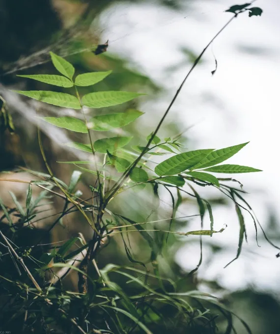 Reliable garden landscaping in Oxford, CT by Turf MD