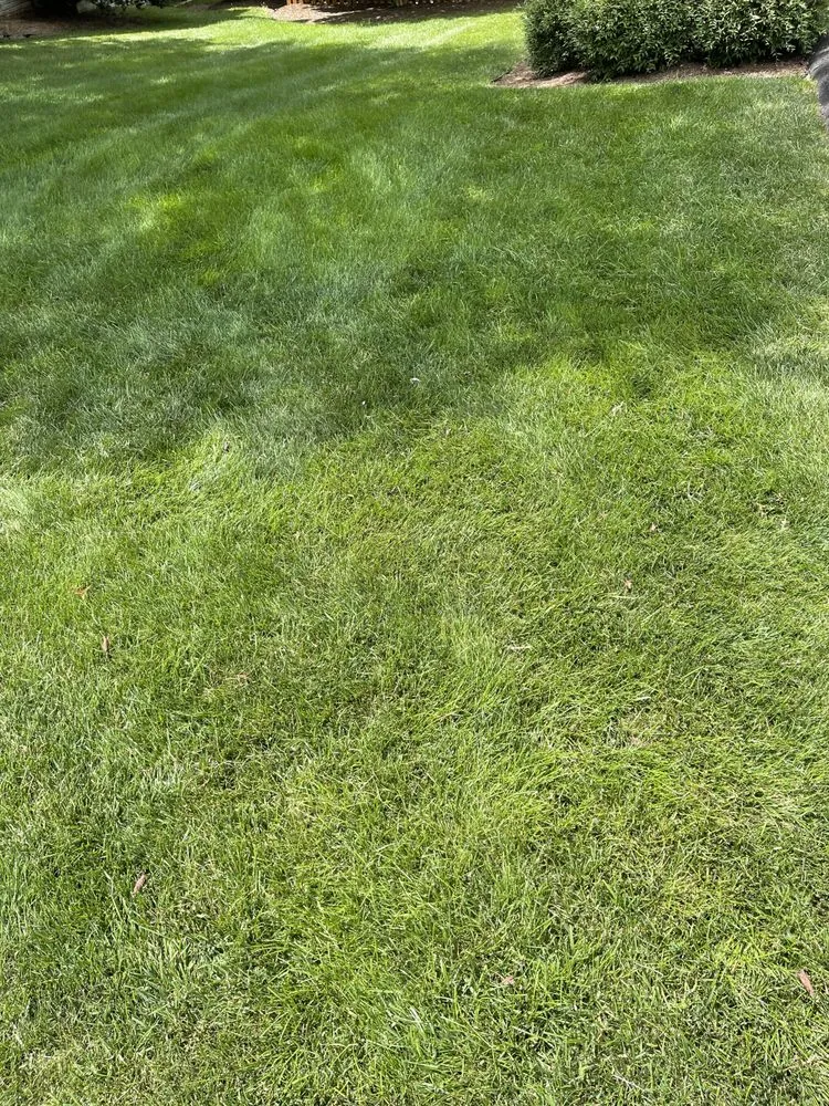 Professional garden landscaping in Greencastle, PA - Turf Medic