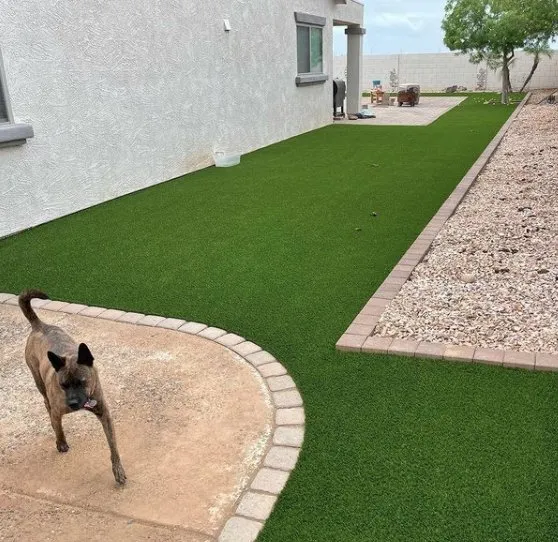 Trusted lawn mowing service for beautiful yards across Phoenix, AZ - Turf Monsters