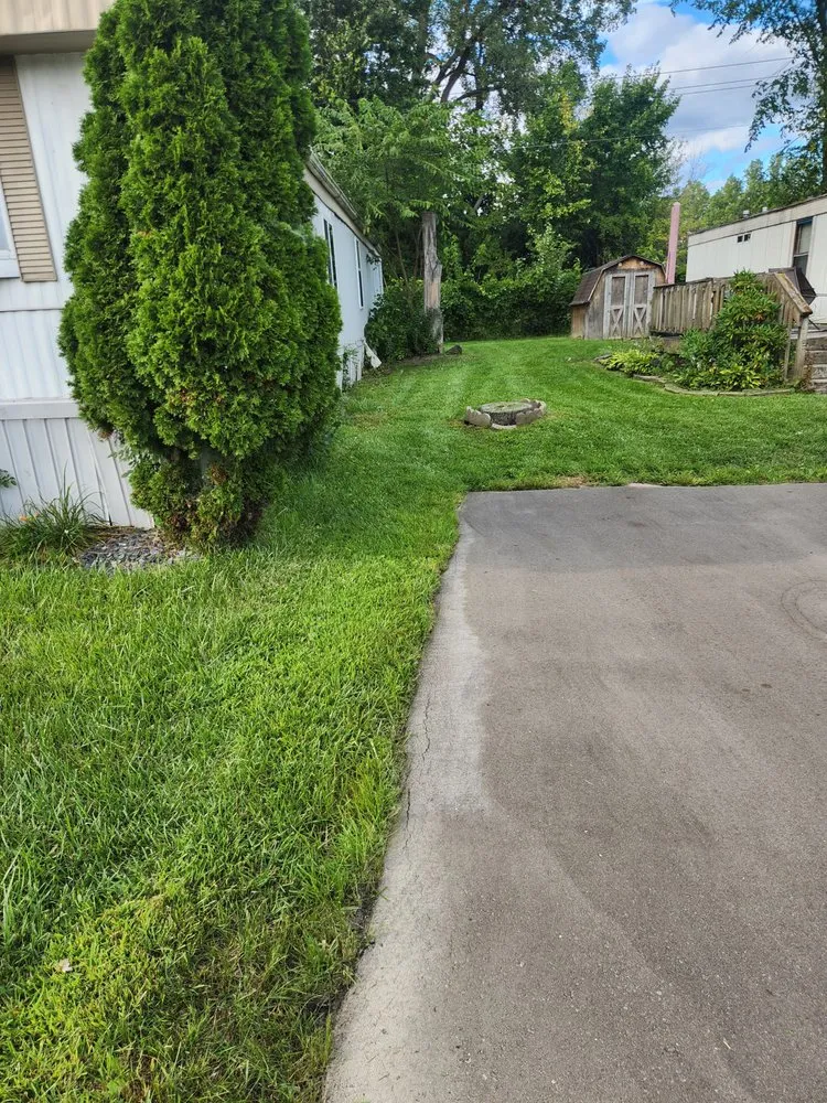 Affordable yard cleanup service in Wayne, MI - Turf Munchers Lawncare & Maintenance