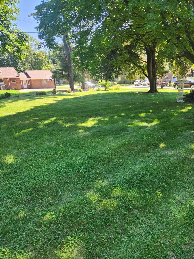 Trusted yard cleanup service experts serving Wayne, MI - Turf Munchers Lawncare & Maintenance