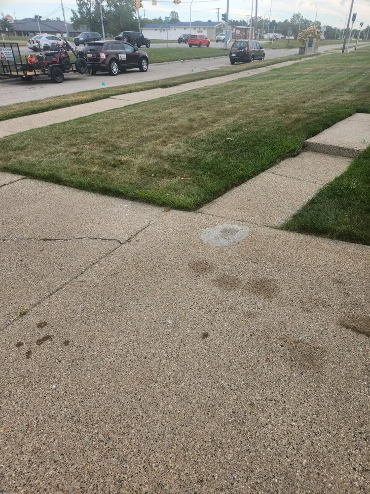 Local lawn care service experts serving Wayne, MI - Turf Munchers Lawncare & Maintenance