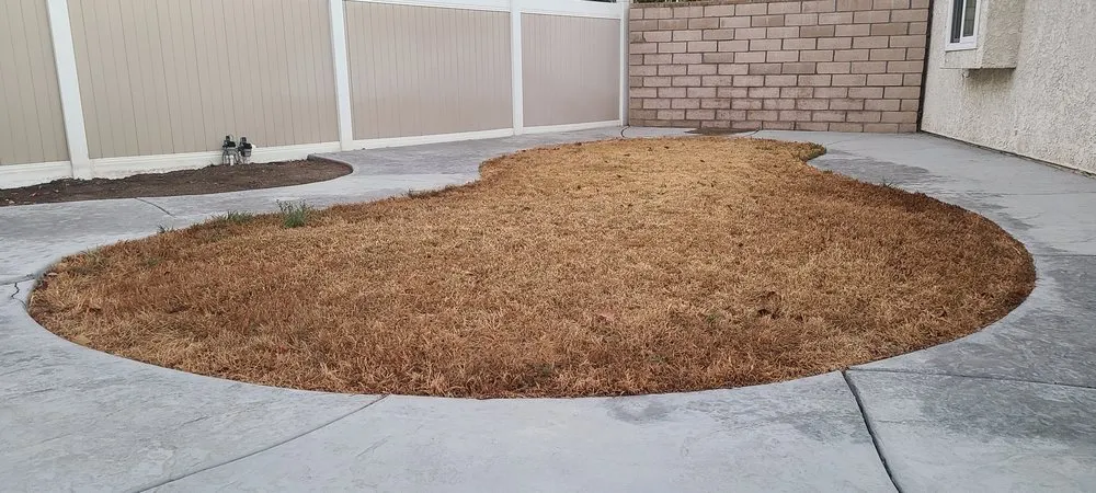 Custom lawn care service in Fullerton, CA - Turf N Go