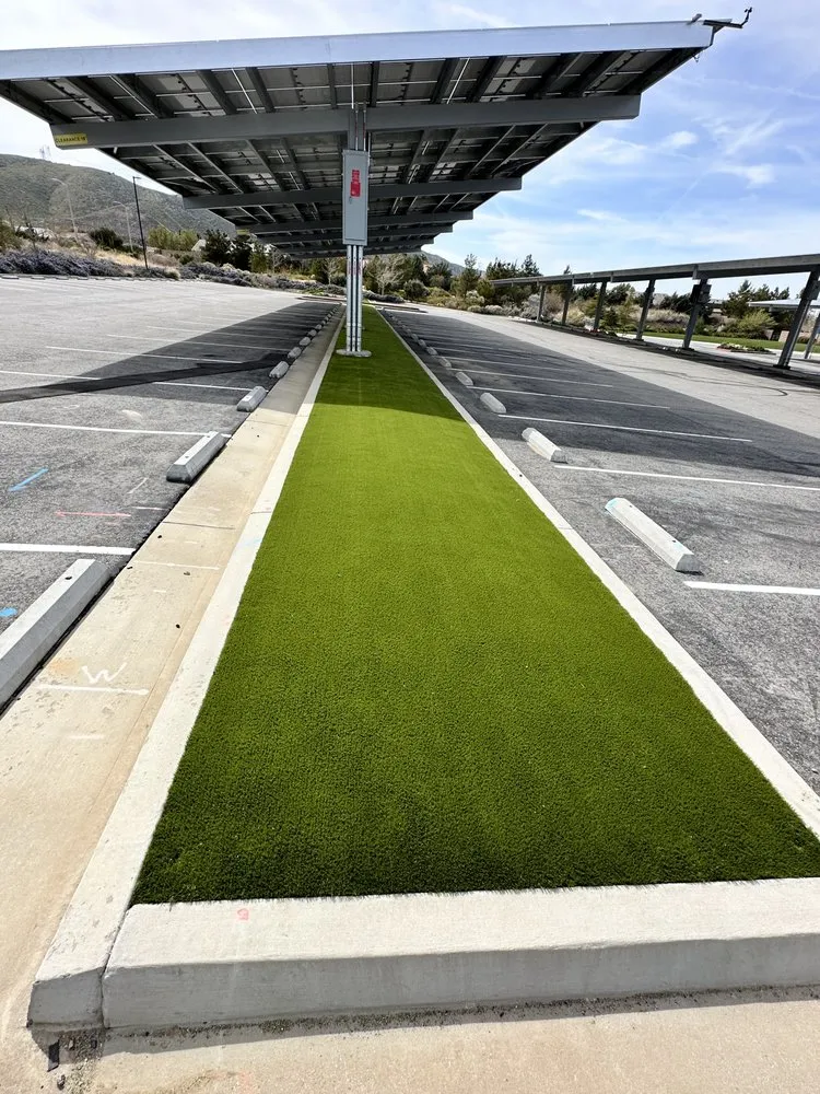 Affordable landscape design for homes in Fullerton, CA by Turf N Go