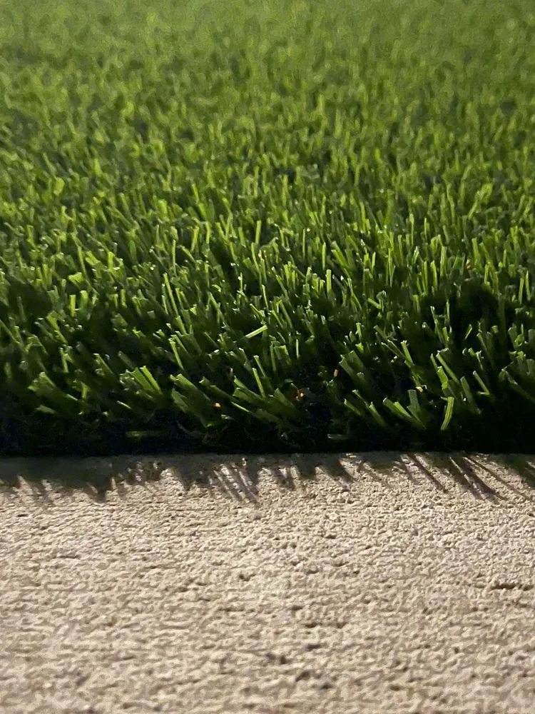 Top-rated yard cleanup service in Fullerton, CA by Turf N Go