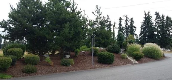 Local residential landscaping in Rochester, WA by Turf-N-Soil Landscaping