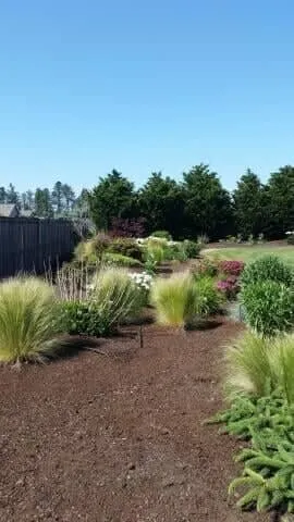 Affordable lawn care service in Rochester, WA by Turf-N-Soil Landscaping