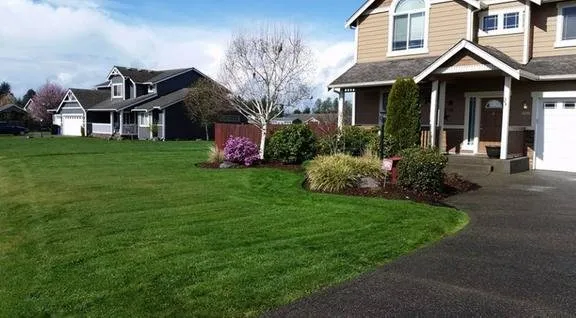 Custom yard cleanup service in Rochester, WA by Turf-N-Soil Landscaping
