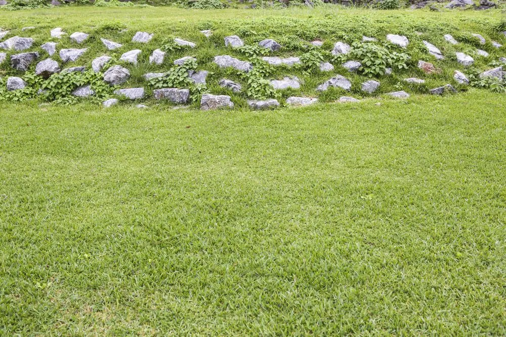 Professional yard cleanup service in Elizabethtown, PA - Turf N Surf