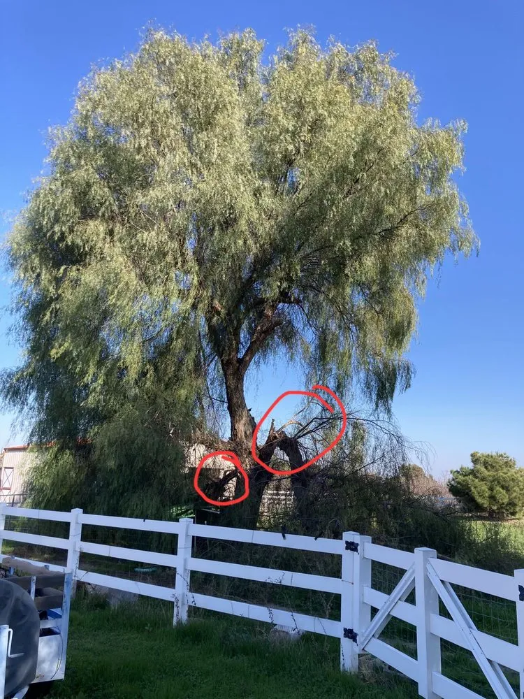 Professional residential landscaping in Tracy, CA - Turf-N-Tree