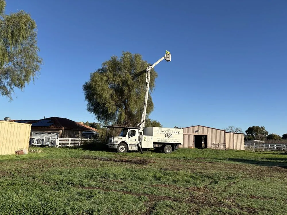 Trusted garden landscaping experts serving Tracy, CA - Turf-N-Tree