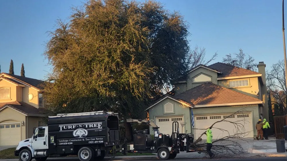 Expert landscaping services in Tracy, CA by Turf-N-Tree