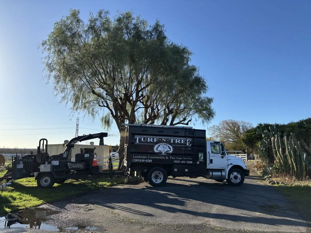 Trusted residential landscaping in Tracy, CA - Turf-N-Tree