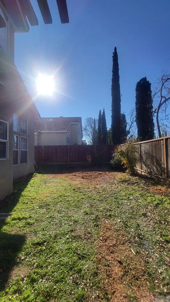 Custom yard maintenance in Tracy, CA - Turf-N-Tree