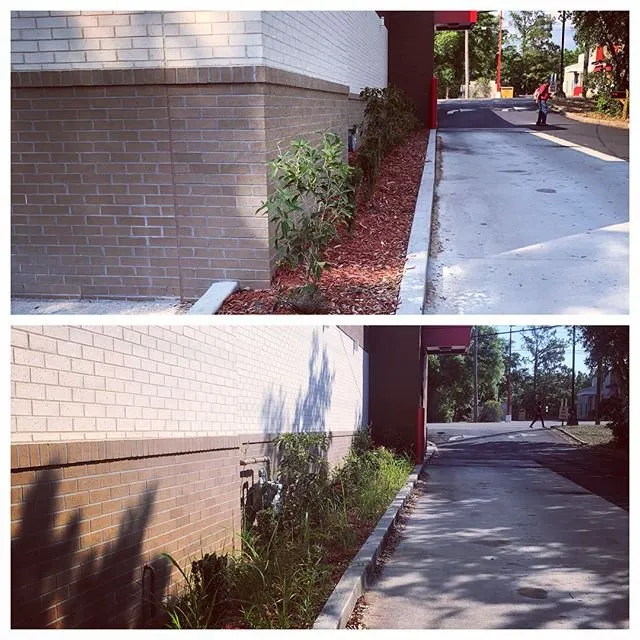 Local residential landscaping in Tallahassee, FL by Turf Nerds