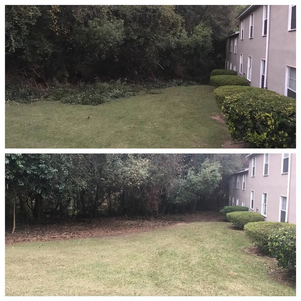 Trusted landscaping services experts serving Tallahassee, FL - Turf Nerds
