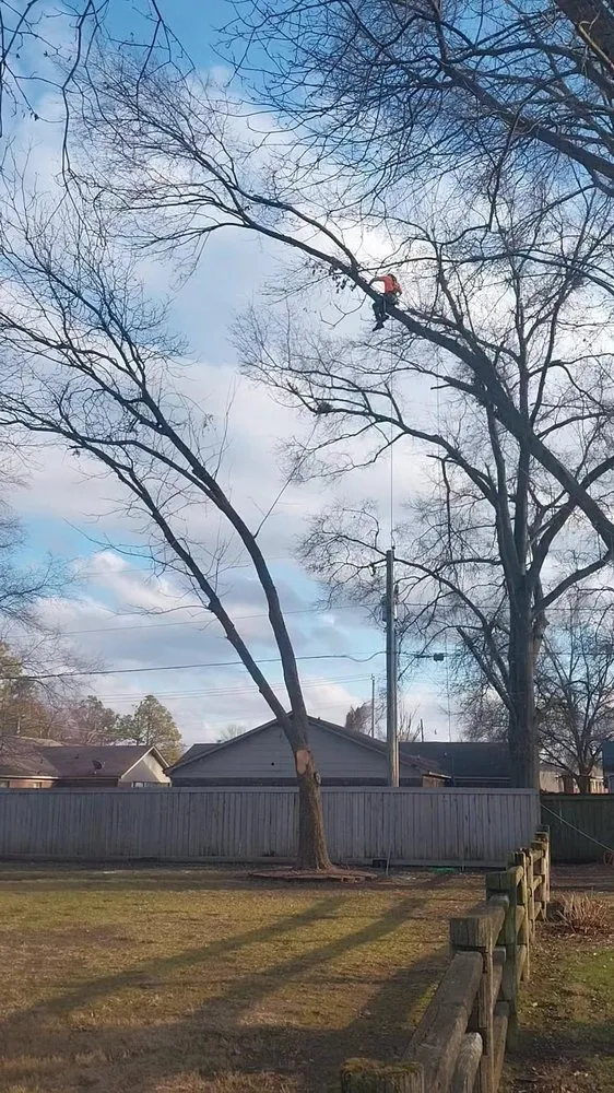 Expert garden landscaping for residential properties across Memphis, TN - Turf Nurse Tree & Outdoor Services