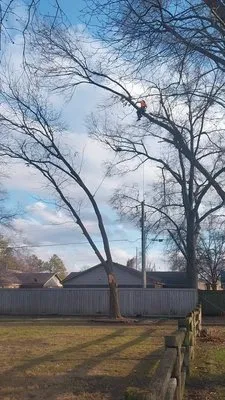 Turf Nurse Tree & Outdoor Services Logo