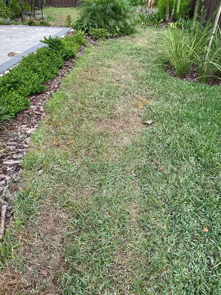 Top-rated residential landscaping in Jacksonville, FL - Turf Organics