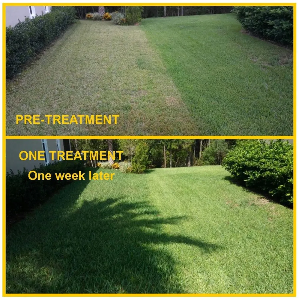 Professional lawn mowing service for outdoor upgrades in Jacksonville, FL by Turf Organics
