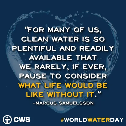 Expert residential landscaping experts serving Jacksonville, FL - Turf Organics