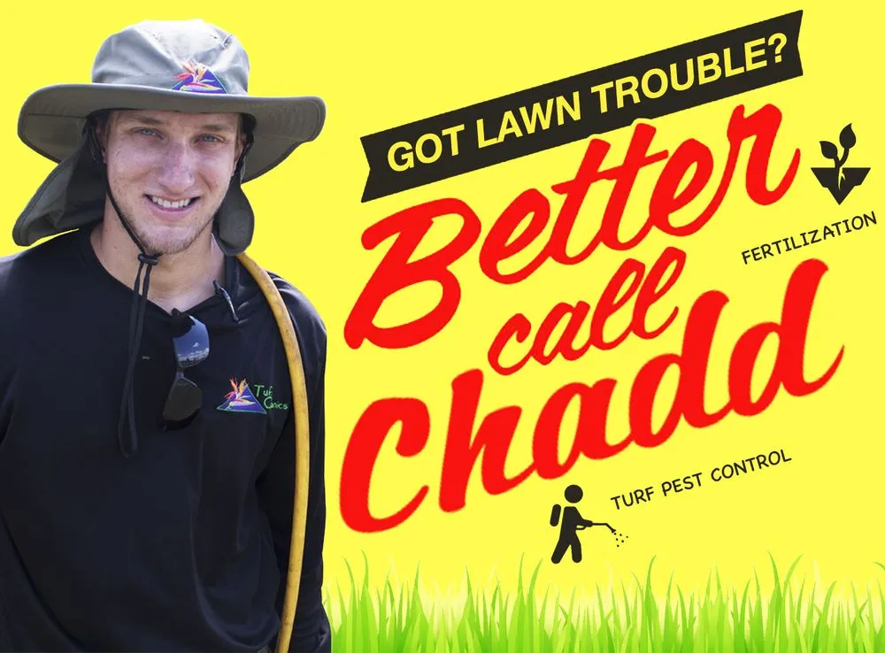 Professional outdoor landscaping for year-round maintenance in Jacksonville, FL by Turf Organics