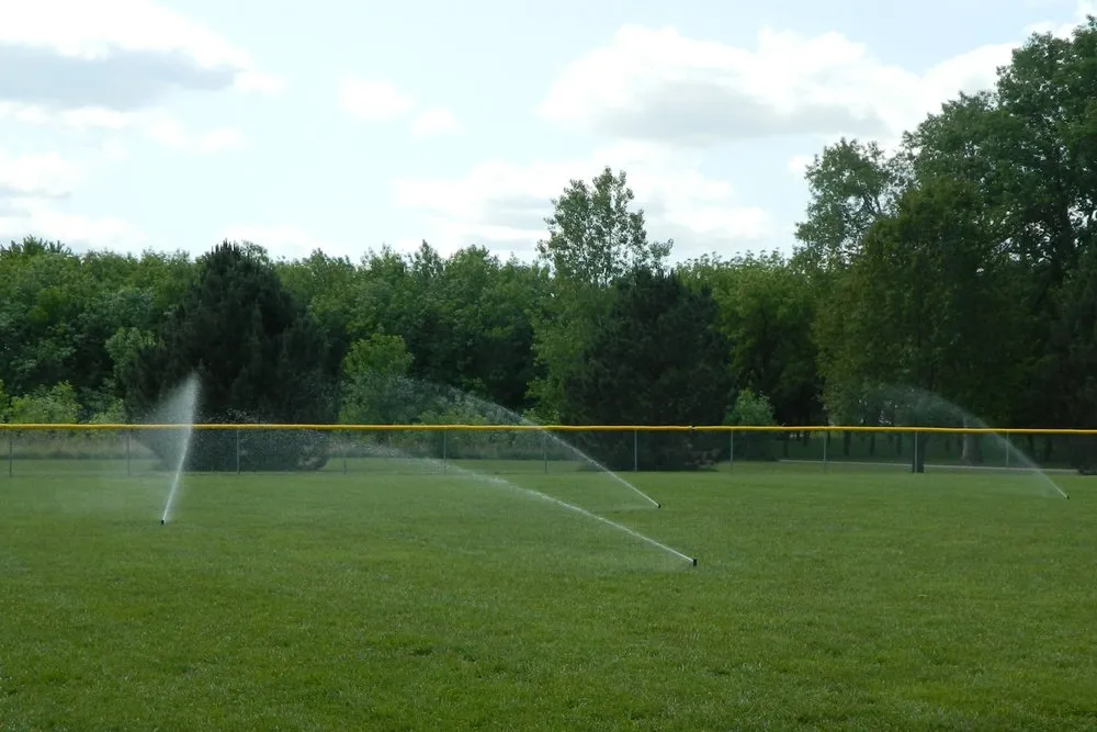 Expert yard cleanup service near you in Beatrice, NE by Turf Paradise