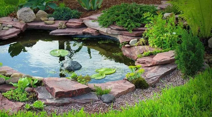 Top-rated landscaping services for homes across Cypress, TX - Turf Plus Outdoor Living