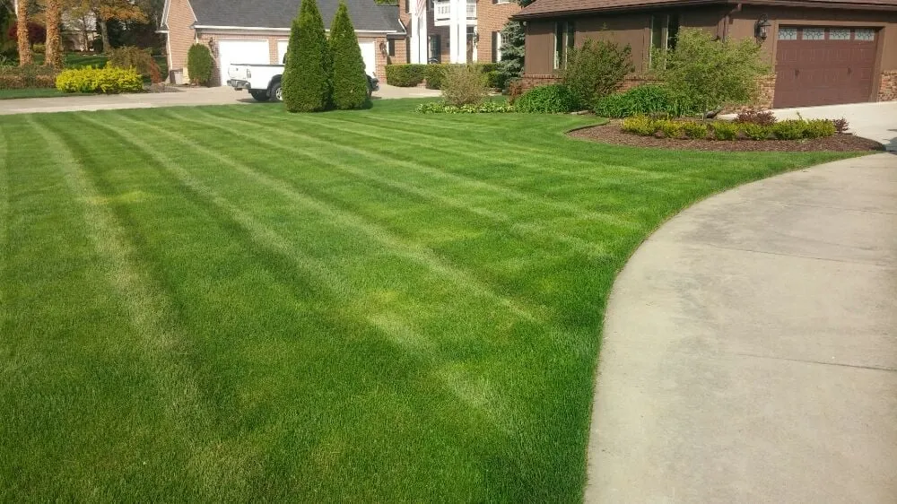 Reliable yard cleanup service for year-round maintenance in Belleville, MI by Turf Pro