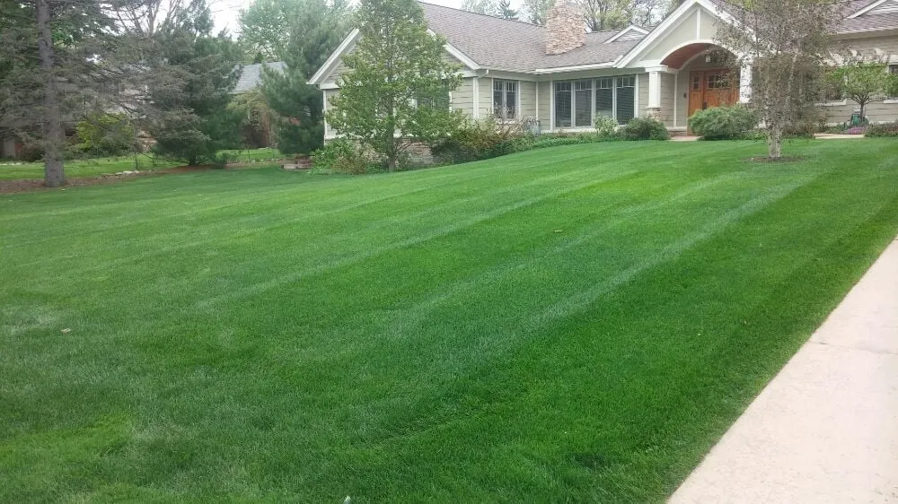Top-rated residential landscaping in Belleville, MI by Turf Pro