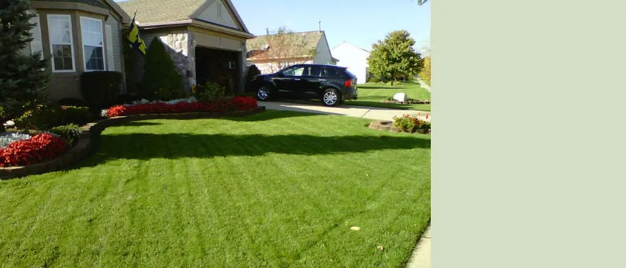 Top-rated landscape installation for year-round maintenance across Belleville, MI - Turf Pro