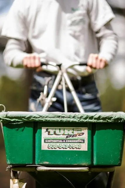 Expert yard cleanup service for year-round maintenance in Foxborough, MA by Turf Pro