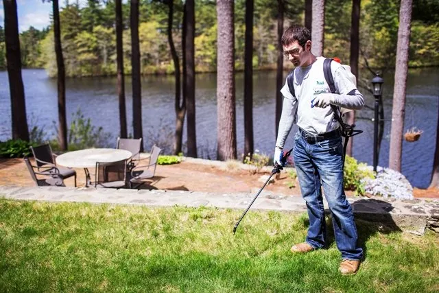 Affordable yard cleanup service in Foxborough, MA - Turf Pro