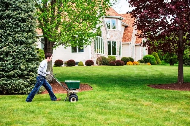 Top-rated yard maintenance for year-round maintenance in Foxborough, MA by Turf Pro