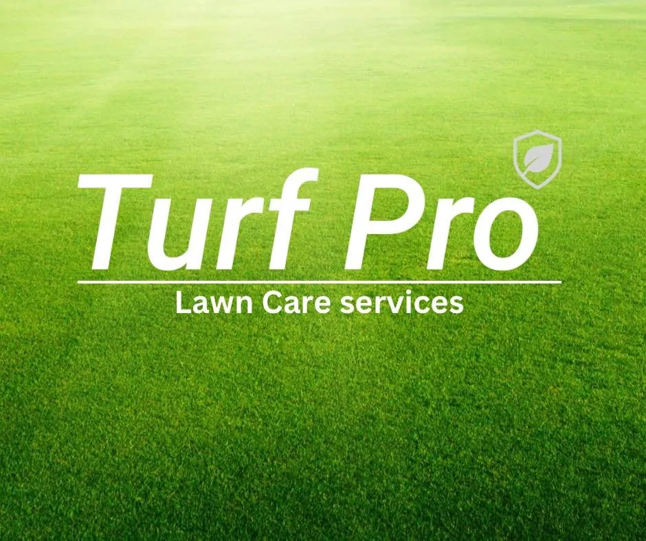 Top-rated lawn care service for year-round maintenance in Helena, AL by Turf Pro