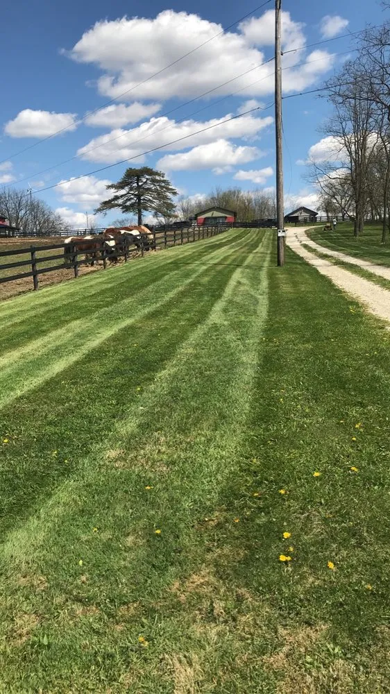 Expert yard maintenance for outdoor upgrades across Kent, OH - Turf Pro Landscaping
