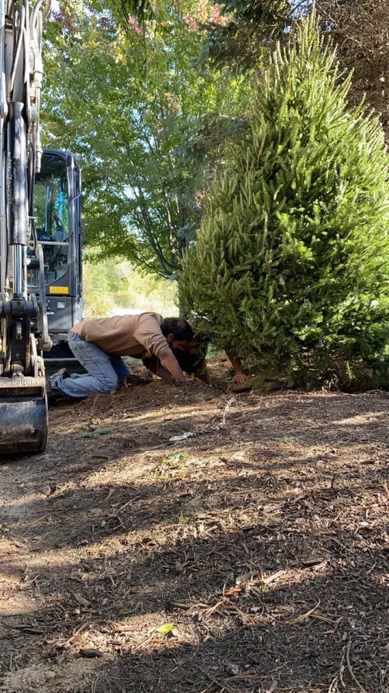 Top-rated yard cleanup service experts serving Kent, OH - Turf Pro Landscaping