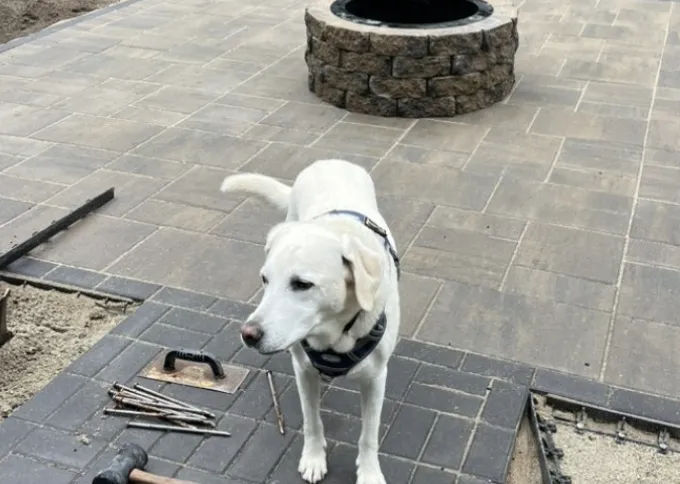 Custom outdoor landscaping for year-round maintenance in Kennebunk, ME by Turf Pro Lawn Care