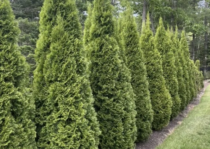 Custom garden landscaping in Kennebunk, ME by Turf Pro Lawn Care