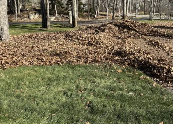 Trusted yard maintenance in Kennebunk, ME - Turf Pro Lawn Care